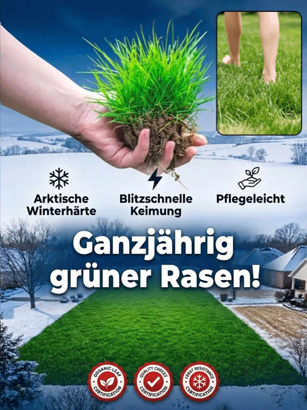 Profi-Saatgut: Standard wie auf dem Golfplatz🌿Der immergrüne "Bundesliga"-Rasen für -20°C Winter, extreme Sommerhitze (Blitzkeimung in 7 Tagen)