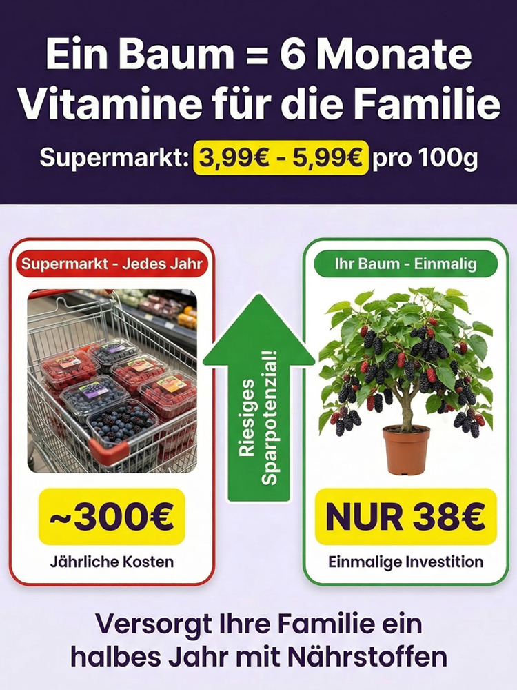 Premium-Baumschulqualität🍃3x mehr Anthocyane als Blaubeeren. Kernlos, honigsüß und reich an Vitaminen für Ihr Herz-Kreislauf-System!