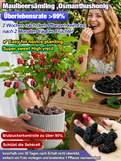 Premium-Baumschulqualität🍃3x mehr Anthocyane als Blaubeeren. Kernlos, honigsüß und reich an Vitaminen für Ihr Herz-Kreislauf-System!