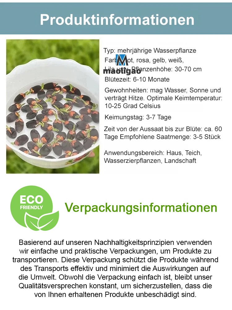 【Natürlicher Duft Lotus, der Lotusduft schlägt Parfüm】✨Bringt Glück und Reichtum, lässt man es ins Wasser legen, blüht es reichlich！
