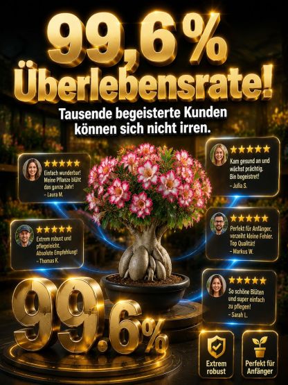  (1+1 GRATIS) Premium Wüstenrose-Knollen – Gekeimt, Winterhart, 300 Tage Blütezeit ohne Gießen.