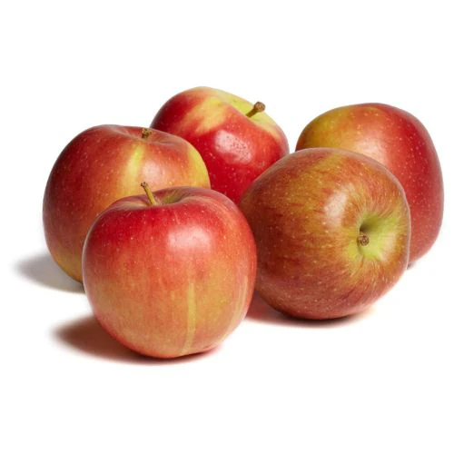 ✨Der originale Bio-Braeburn Zwergapfelbaum ausDresden✨Jetzt pflanzen, schon im Herbst 30kg ernten🍎1000x leckerer als aus dem Supermarkt!