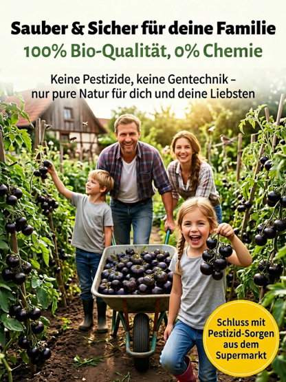 【Plant Now for a May Harvest】Premium Bavarian Black Pearl Tomato Seeds - No Staking Needed, 98% Germination Rate for Beginners, Blight-Resistant - 300+ Fruits per Plant