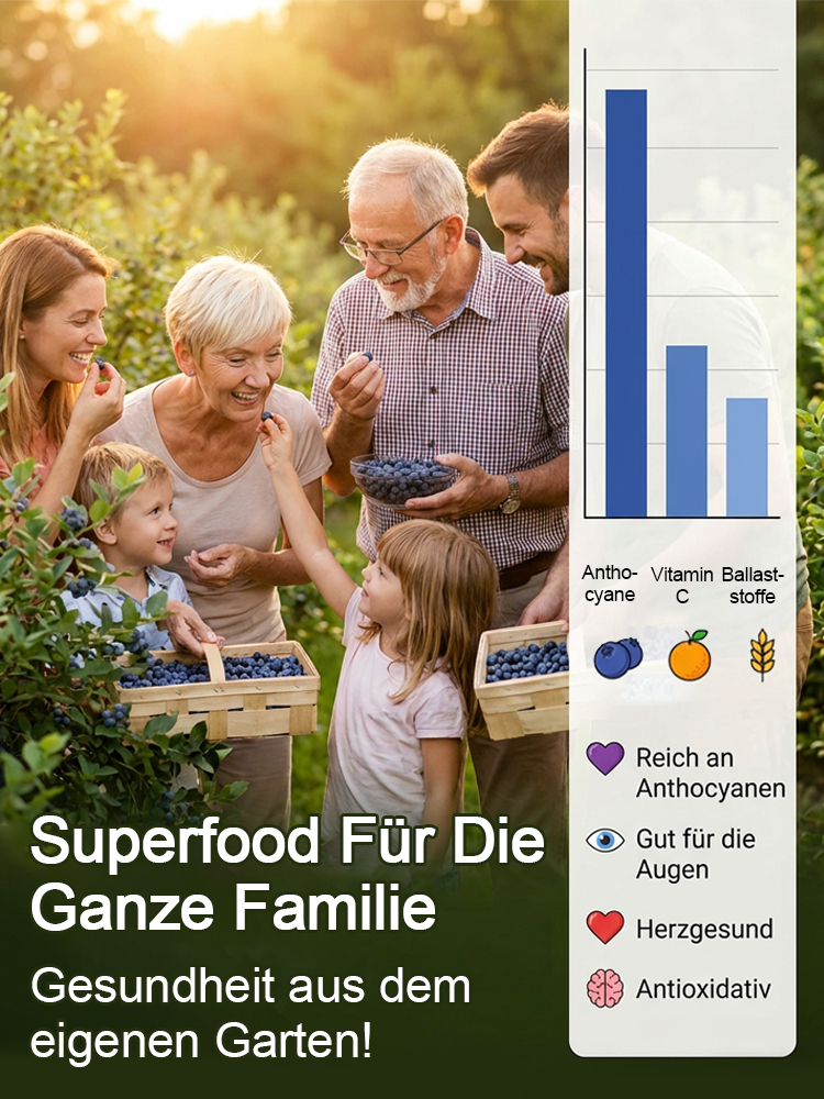 Schnellwachsende Riesen-Blaubeer-Setzlinge aus norddeutscher Baumschule🫐 | Ernte bereits im ersten Juni | Winterhart bis -30 Grad | XXL-Ertrag bis 10kg pro Pflanze🌱100 Prozent Bio-tauglich