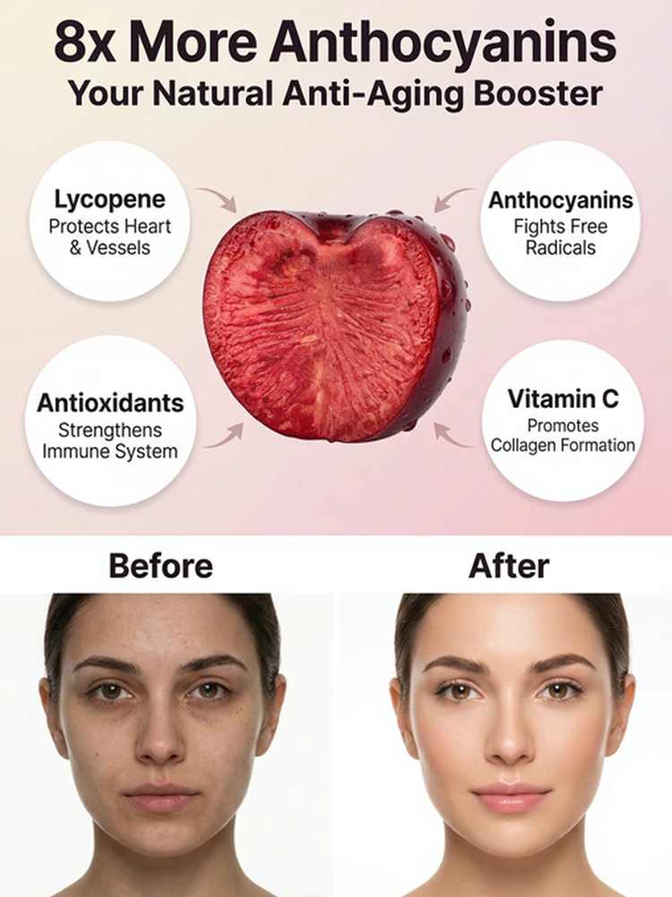 Wunderbaum Regina × Kordia: Kirschbaum-Setzling mit 99% Anwuchsrate | 2-3 Ernten pro Jahr | Jetzt pflanzen, im Juni ernten! | Gratis Versand