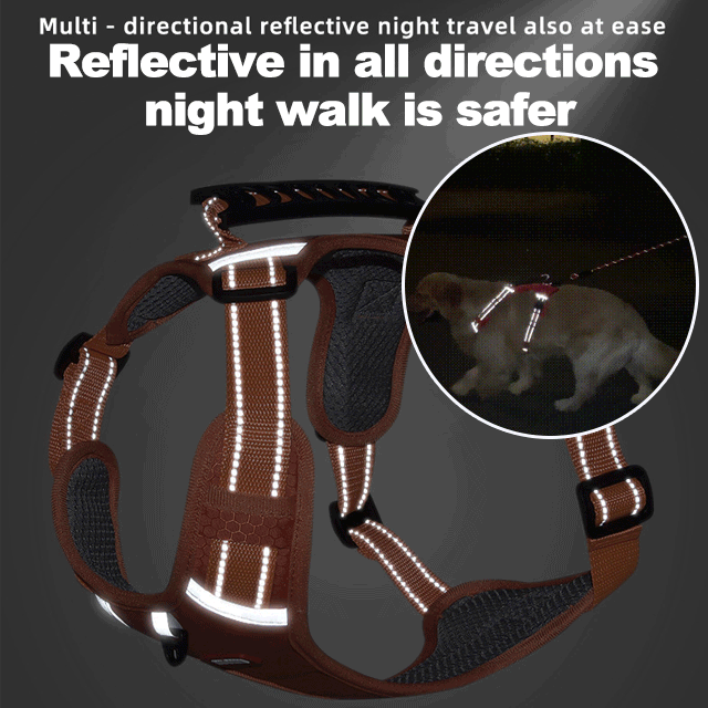 Ensure Your Pet's Safety 🌟: Revolutionary anti-pull leash with cooling comfort & reflective design for maximum protection!