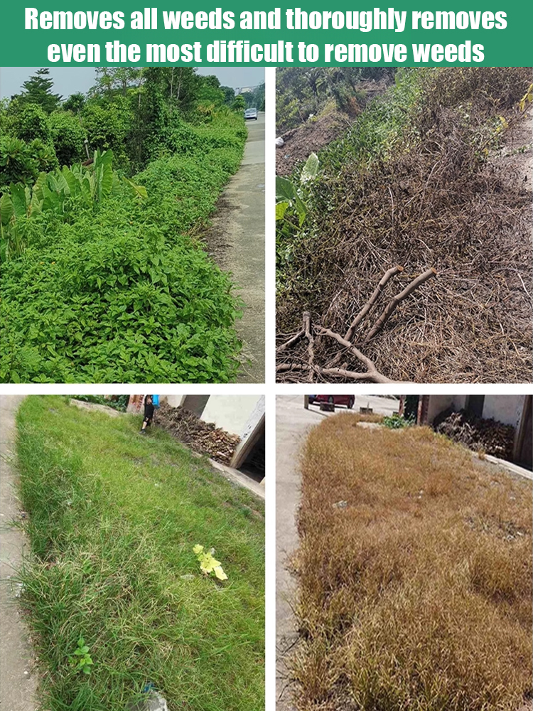 Year-Round Worry-Free Herbicide 🌿 Blue Angel Certified, Penetrates in 10 Minutes ⏱️, One Application for a Year of Weed Control 🚫🌾. Limited to 80 Bottles! 🛒✨