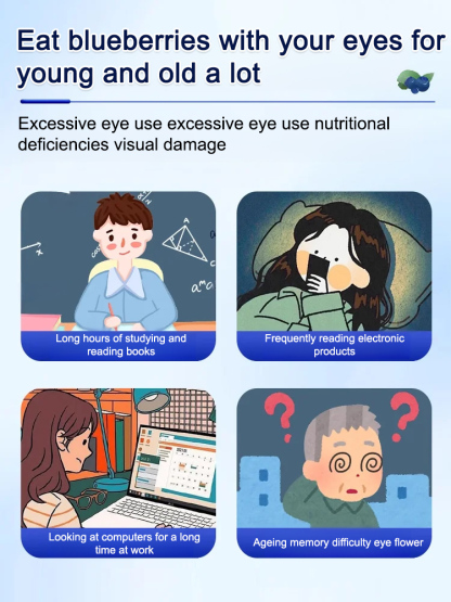 🫐 Giant, Soft And Chewy! 5A Grade Premium Sugar-Free Blueberry Dried Fruit 🍬