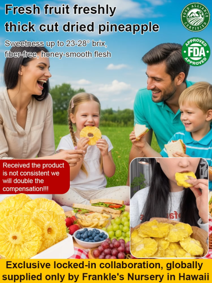 🍍Freshly Made Thick-Cut Hawaiian Pineapple Dried Fruit (Exclusive Limited Release) 🤤Melt-in-Mouth Honey Cream Flavor 🍯 Zero Sugar And Soft Core! 