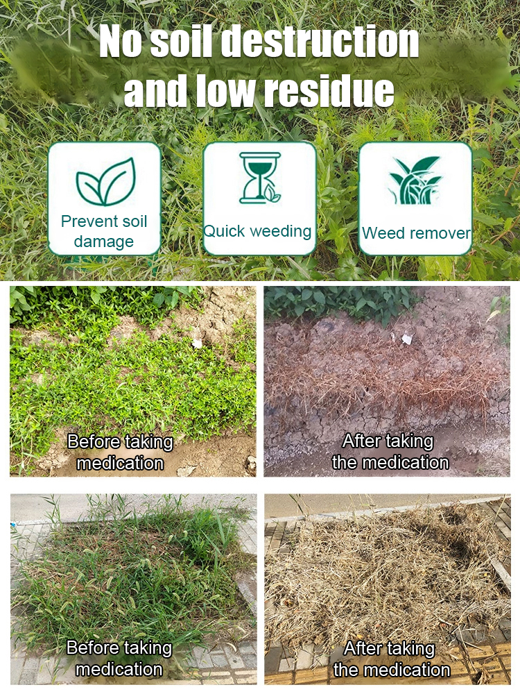 Year-Round Worry-Free Herbicide 🌿 Blue Angel Certified, Penetrates in 10 Minutes ⏱️, One Application for a Year of Weed Control 🚫🌾. Limited to 80 Bottles! 🛒✨
