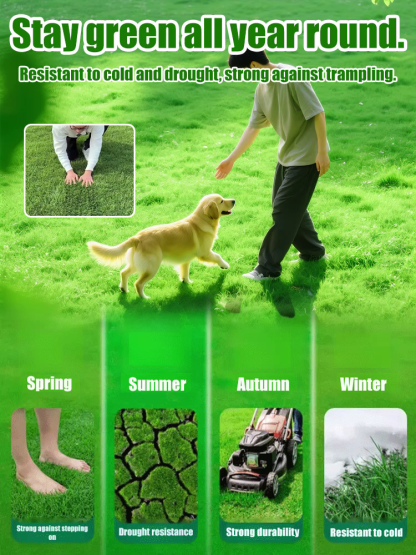 【Free shipping】High-Density Repair Formula！7-Day Germination Grass Seed – Limited Sale of Newest Improved Variety