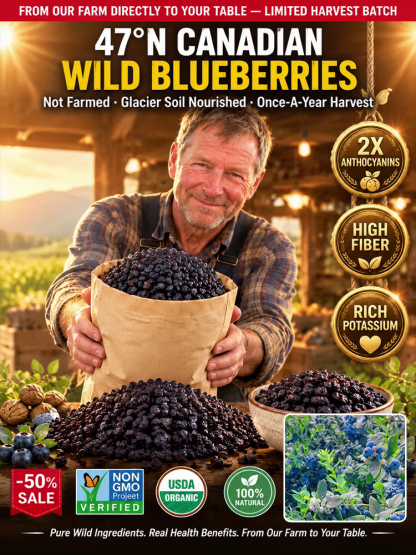 🫐【 TODAY ONLY: Buy 1 Get 1 Free! 】👉 Premium Canadian Wild Dried Blueberries | Zero Sugar Antioxidant Superfood