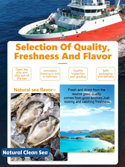 【Fresh and Juicy Fat Oysters】Wild Alaskan Glacial Oysters Spicy Garlic Flavor 🦪 IQF LockedFreshness | High Zinc Protein Energy Source 🌶️