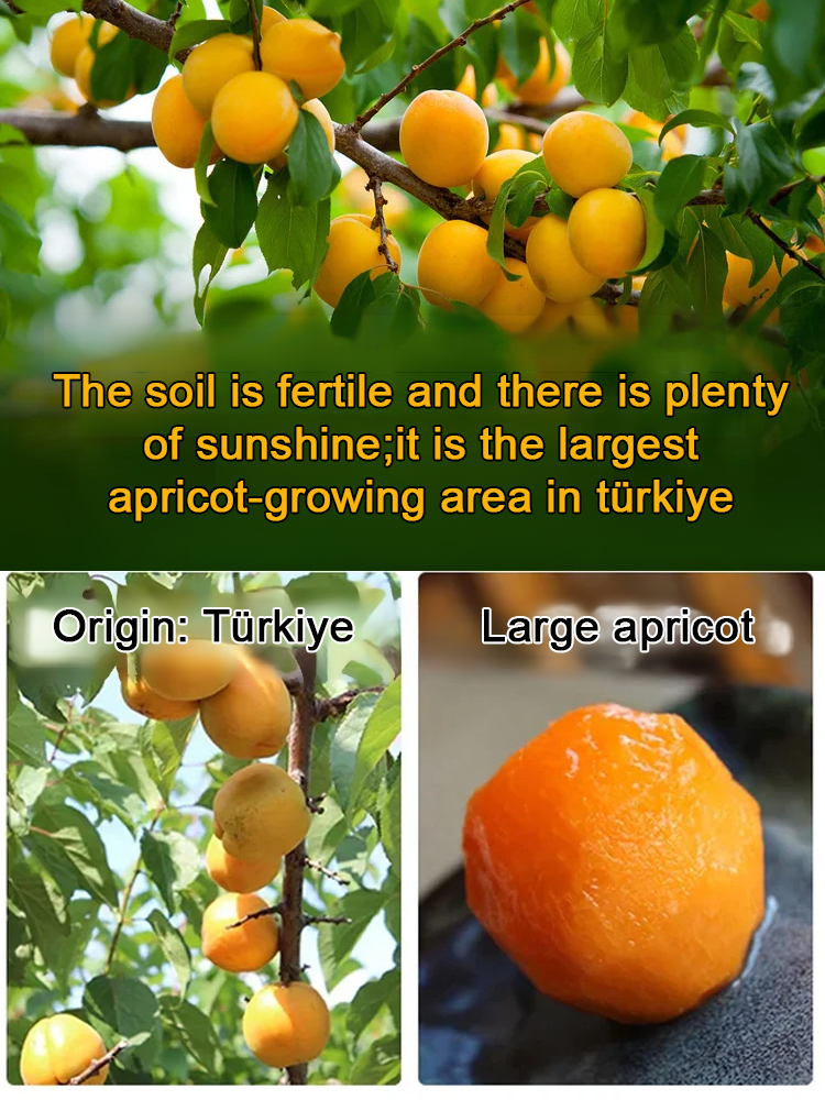 ☀️❤️Premium California Organic Sun-Dried Apricots |Hand-Picked Non-GMO Family Farm 🍑