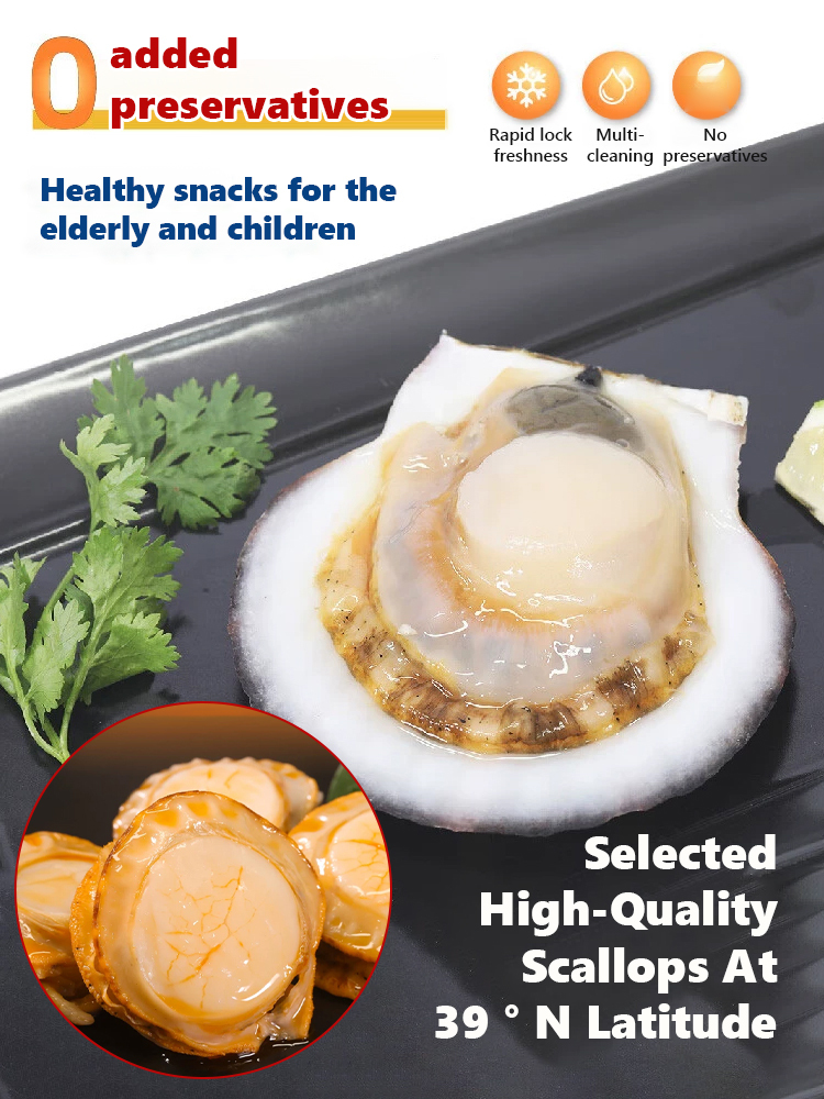 Wild Caught Normandy KingScallops(Canned) | Spicy Garlic Gourmet Seafood | Ready to Eat Keto Snack 🌊🦪