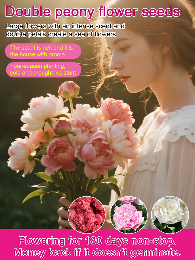 Guaranteed Growth: Resilient Peony Seeds—Order Now for Discounts🌸