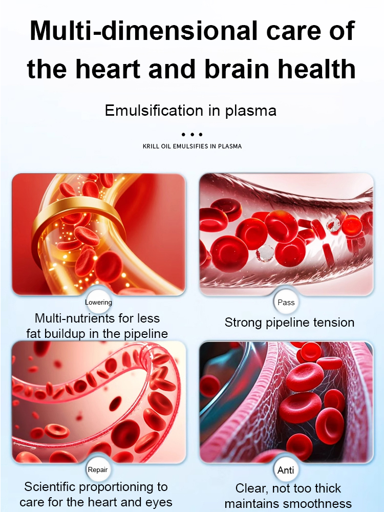 🦐 The Ultimate Crispy Snack! ✨ Wild-Caught, 0-Oil, High-Protein Shrimp. Your healthy addiction! 😋Sea-Caught Butterflied Phoenix Tail Dried Shrimp