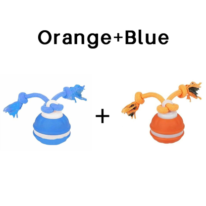 Dog interactive toy - rolling ball