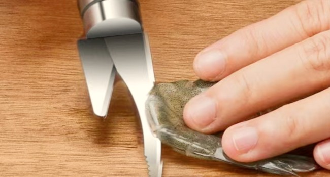 shrimp deveining tool