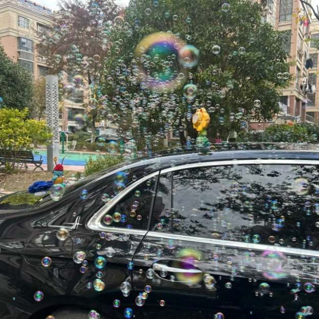 REMOTE CONTROL BUBBLE BLOOM FLOWER