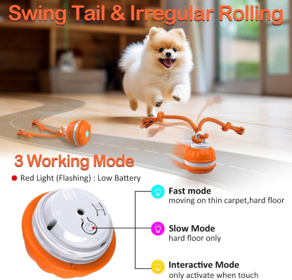 Dog interactive toy - rolling ball