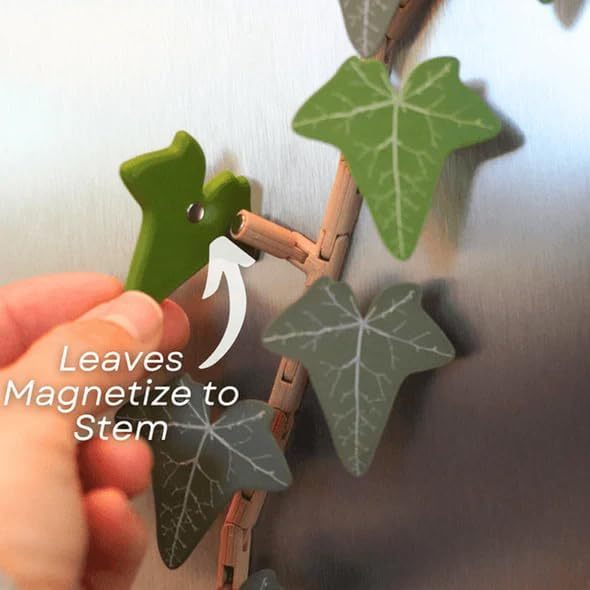 Ivy Fridge Magnet Magnetic Leaf Clip
