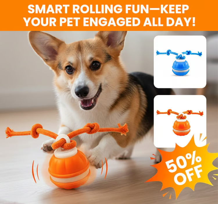 Dog interactive toy - rolling ball