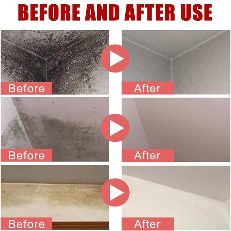 Wall mold remover