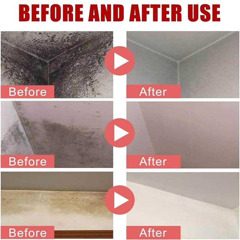 Wall mold remover