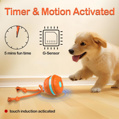 Dog interactive toy - rolling ball