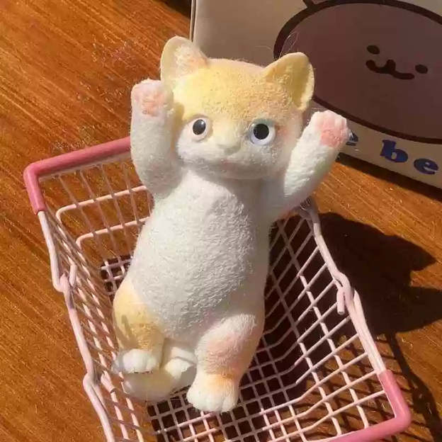Simulation cat squeezing toy