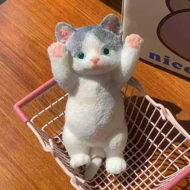 Simulation cat squeezing toy