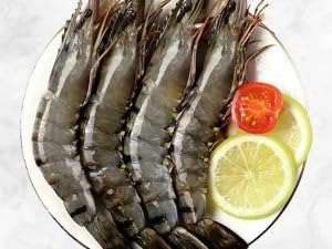 shrimp deveining tool