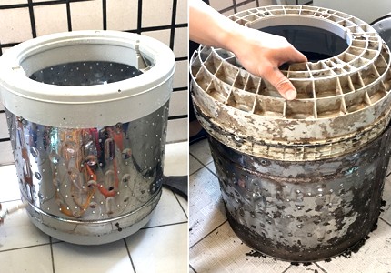 開箱文]洗洗衣機還是讓專業的來吧—拆了才洗得到的深層頑垢- 信義居家