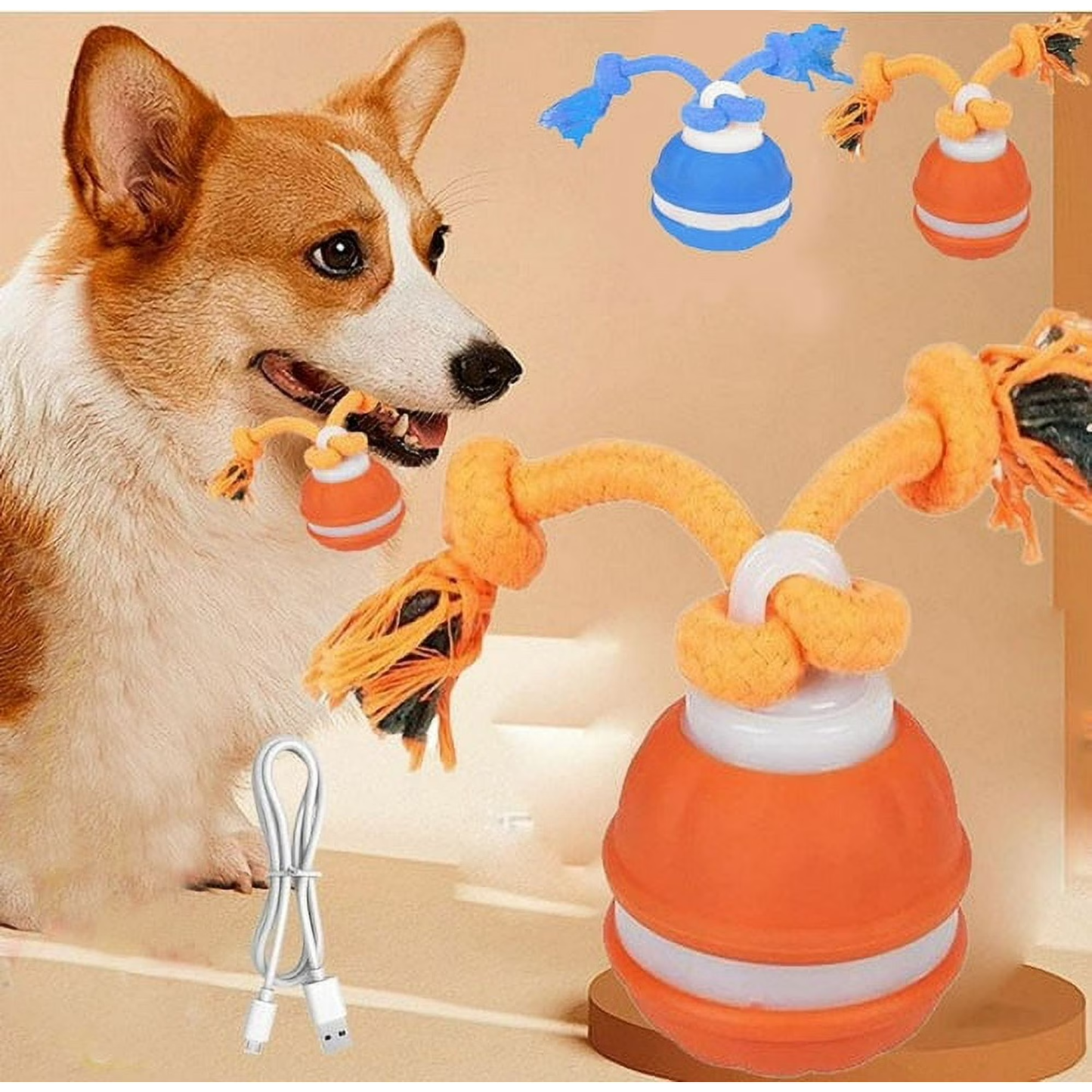 Dog interactive toy - rolling ball