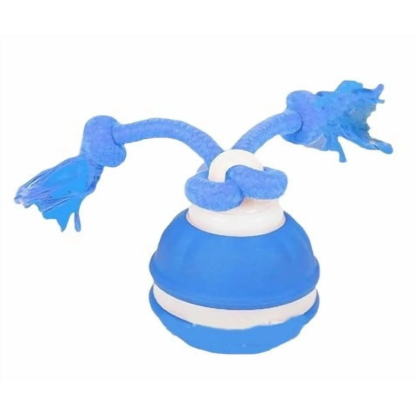 Dog interactive toy - rolling ball