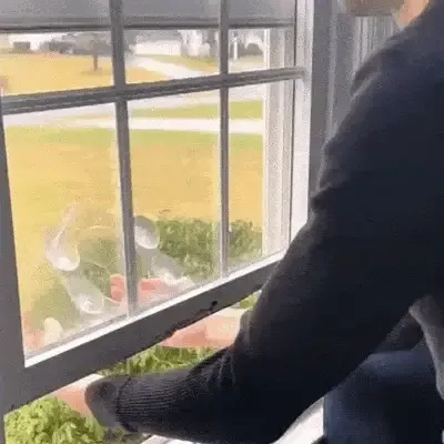 (🔥HOT SALE NOW 49% OFF) -🐦 Window Bird Feeders