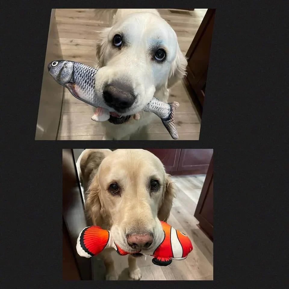 🔥🔥🔥49% OFF🐱FloppyFish- 🐶INTERACTIVE FISH TOY FOR YOUR PETS