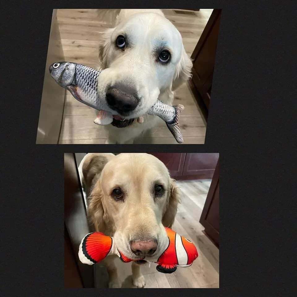🔥🔥🔥49% OFF🐱FloppyFish- 🐶INTERACTIVE FISH TOY FOR YOUR PETS