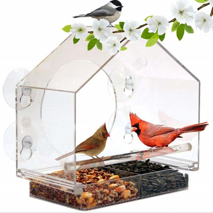 (🔥HOT SALE NOW 49% OFF) -🐦 Window Bird Feeders