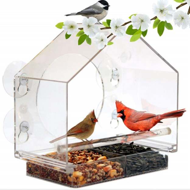 (🔥HOT SALE NOW 49% OFF) -🐦 Window Bird Feeders