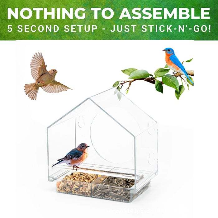 (🔥HOT SALE NOW 49% OFF) -🐦 Window Bird Feeders
