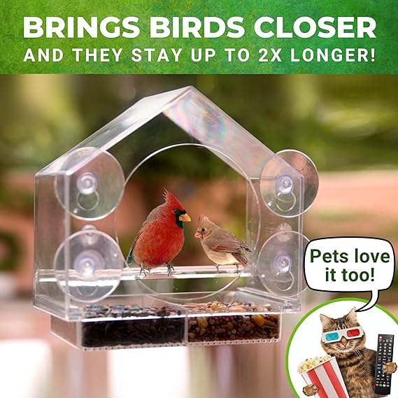 (🔥HOT SALE NOW 49% OFF) -🐦 Window Bird Feeders