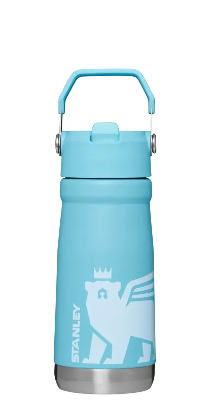 The Wild Imagination IceFlowTM Flip Straw Water Bottle | 17 OZ