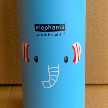 Aluminum Sports Water Bottle