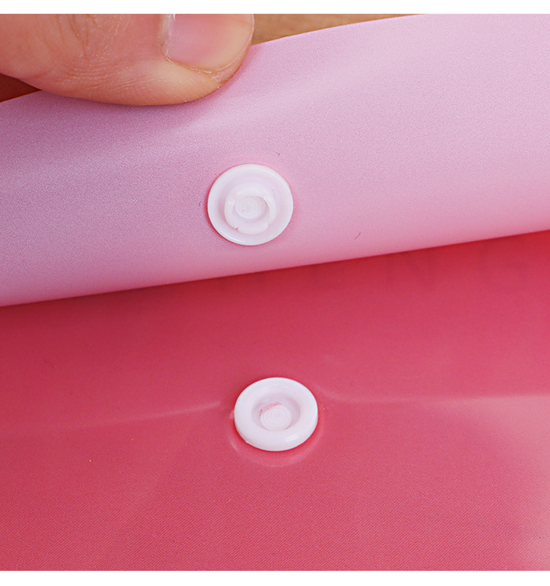 PP Snap Transparent File Pocket