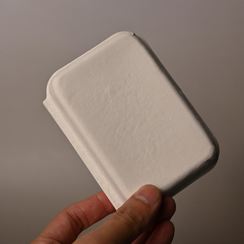 Biodegradable Pulp Gift Box