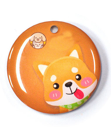 RFID Pet Tag