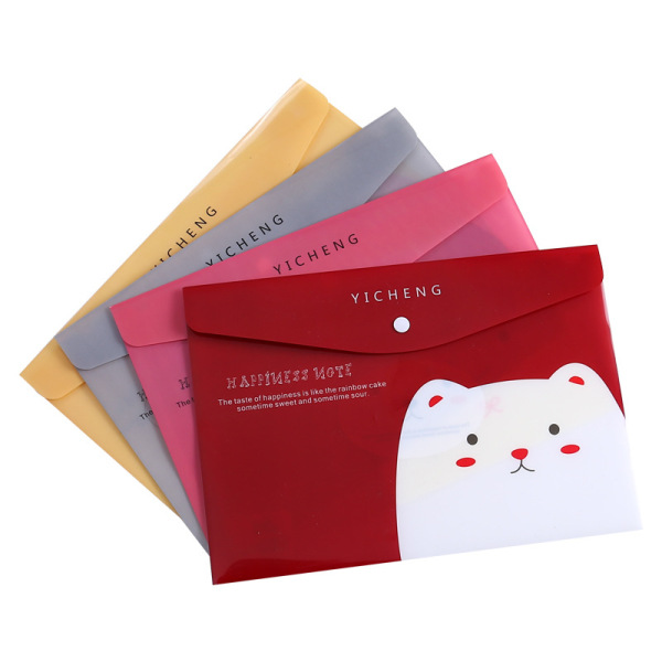 PP Snap Transparent File Pocket