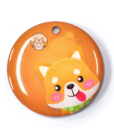RFID Pet Tag